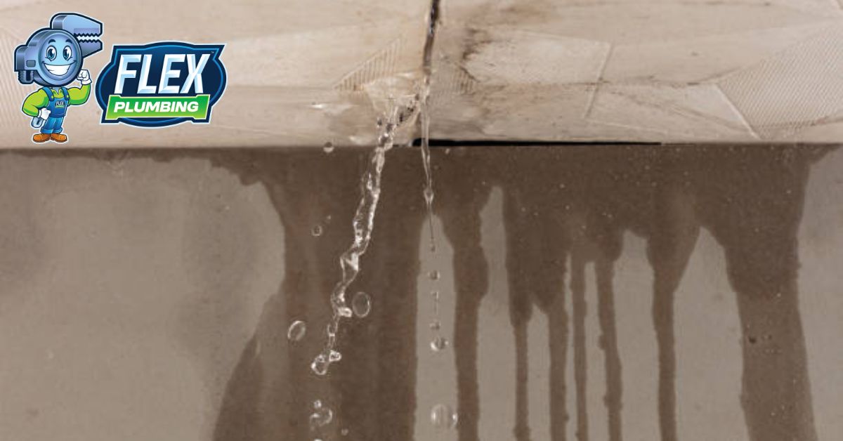 Top Signs Your Home Has a Hidden Water Leak